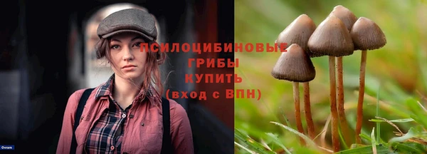 кокаин премиум Болотное