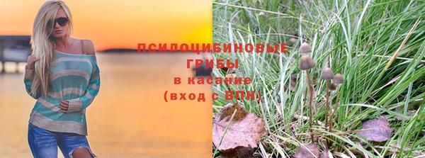 мяу мяу мука Новозыбков