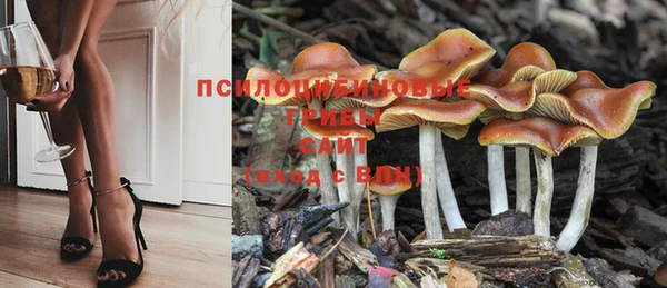 не бодяженный Новодвинск