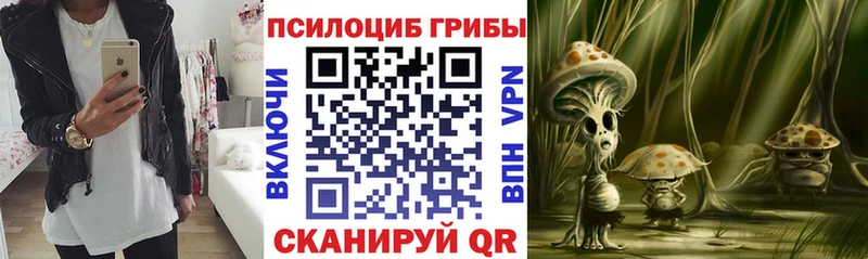 Псилоцибиновые грибы GOLDEN TEACHER  ссылка на мегу   Андреаполь 